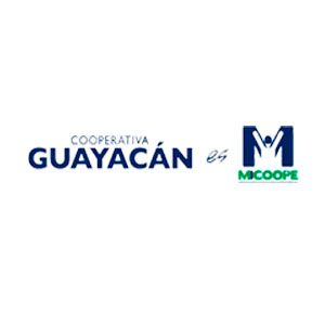  Guayacan Es Micoope
